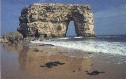 Marsden Rock 5 years ago